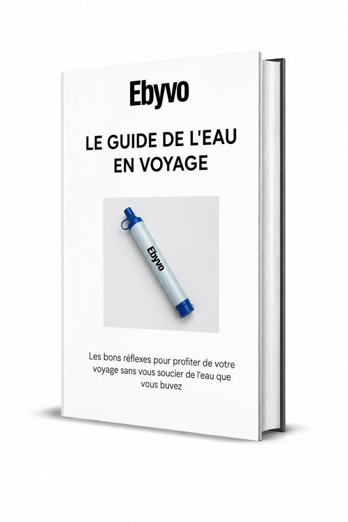 Ebook